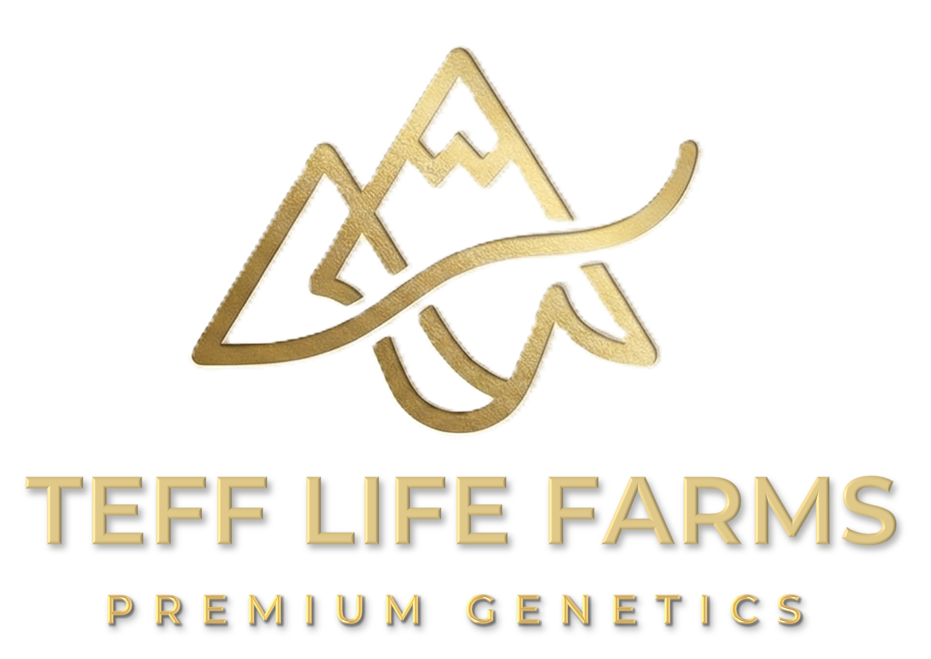 supply tefflife